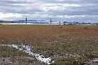 pont d'orleans ile canada avril april 2012 copyright free photo royalty free photo