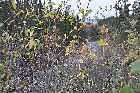 riviere mathevet lake trans labrador highway baie comeau quebec labrador city canada october octobre 2010