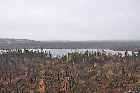 magnificent scenery view trans labrador highway 500 labrador city happy valley goose bay canada october octobre 2010