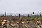 magnificent scenery view trans labrador highway 500 labrador city happy valley goose bay canada october octobre 2010