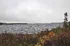 lake deciduous trees shrubs electricity pylons trans labrador highway 500 labrador city happy valley goose bay canada october octobre 2010