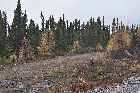 old abandoned road trans labrador highway 500 churchill falls happy valley goose bay canada october octobre 2010
