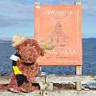 strawberry moose cape spear newfoundland canada october octobre 2010