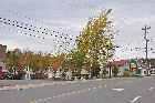 motel clarenville trans canada highway newfoundland canada october octobre 2010
