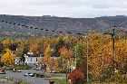 deciduous trees leaves autumn colours clarenville trans canada highway newfoundland canada october octobre 2010