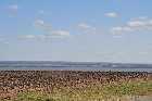 st laurent south shore st lawrence south shore st Lawrence laurent ile d'orleans quebec canada avril april 2012 copyright free photo royalty free photo