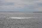 sandbank sandspit baie st catherine st lawrence river saguenay st laurent riviere quebec canada mai may 2012