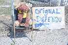 strawberry moose orignal defendu st felicien lac st jean highway 169 saguenay quebec canada mai may 2012
