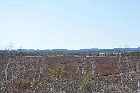 agriculture north shore st lawrence river quebec canada mai may 2012