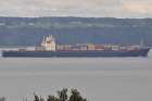 msc kyoto riviere st laurent st lawrence river neuville quebec canada september 2013 chemin du roy highway 138