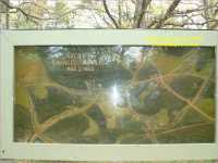 Chancellorsville Battlefield