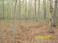 Chancellorsville Battlefield