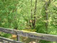 Sailor's Creek battlefield