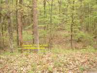 Second Battle of Manassas Bull Run Deep Cut
