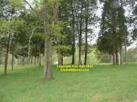 Second Battle of Manassas Bull Run