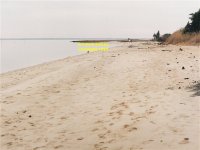 Mystic island mouth of Mullica River New Jersey coast copyright free photo royalty free photo
