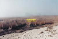 New Jersey coast rescue station lost in the fog copyright free photo royalty free photo