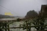 photos January 2008 near Newcastleton Scotland copyright free photo royalty free photo