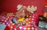Strawberry Moose and friends photos January 2008 near Newcastleton Scotland copyright free photo royalty free photo