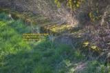 masonry boundary solway junction railway mars march 2008 copyright free photo royalty free photo
