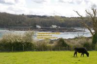 ynys gored goch menai strait bangor anglesey ynys mon north wales april 2008 avril copyright free photo royalty free photo