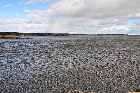ragueneau north shore st lawrence river quebec canada october octobre 2010