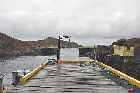 harbour fox roost south west coast newfoundland canada october octobre 2010