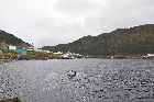 harbour le cou south west coast newfoundland canada october octobre 2010