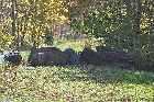 derelict abandoned railway line mulgrave nova scotia canada october octobre 2010