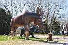 strawberry moose quebec beaupre coast st lawrence north shore canada avril april 2012 copyright free photo royalty free photo