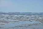 beach pointe aux outardes north shore st lawrence river quebec canada mai may 2012