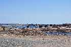 remains arboriduc port cartier gulf st lawrence river north shore quebec canada mai may 2012