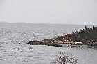 magpie harbour highway 138 route des baleines gulf st lawrence north shore quebec canada mai may 2012
