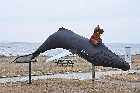 strawberry moose longue pointe de mingan whale highway 138 route des baleines gulf st lawrence north shore quebec canada mai may 2012