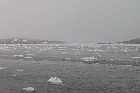 pack ice lower north shore gulf of st lawrence harrington harbour quebec canada  mai may 2012