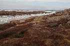 lower north shore gulf of st lawrence harrington archipelago harbour quebec canada  mai may 2012