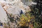 thompson falls river franquelin quebec canada october octobre 2016