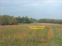 The Wilderness Battlefield - view from Confederate trenches to Union assault