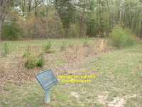 The Wilderness Battlefield - trenches at Tapp's Farm