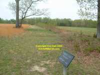 The Wilderness Battlefield - trenches at Tapp's Farm