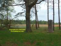 The Wilderness Battlefield - site of Tapp's Farm