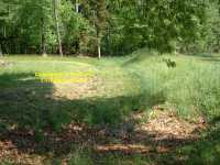 entrenchments at the Crater Petersburg
