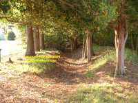entrenchments Cold Harbor battlefield