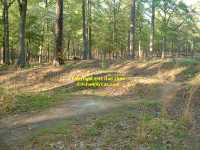 entrenchments Cold Harbor battlefield