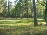 view from Union lines to Confederate trenches Cold Harbor battlefield