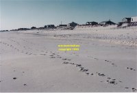 Long Beach Island New Jersey - beach between Ship Bottom and Surf City copyright free photo royalty free photo